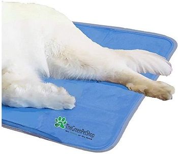 TheGreenPetShop Dog Cooling Mat review