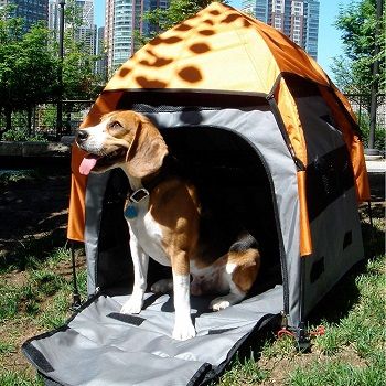 dog-tent-house