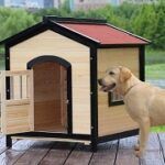 Best 5 Dog Houses With Doors On The Market In 2020 Reviews