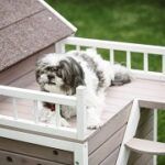 Best 5 Dog Houses With Porch On The Market In 2020 Reviews