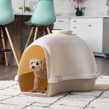 IRIS USA Large Igloo Shaped Dog House review