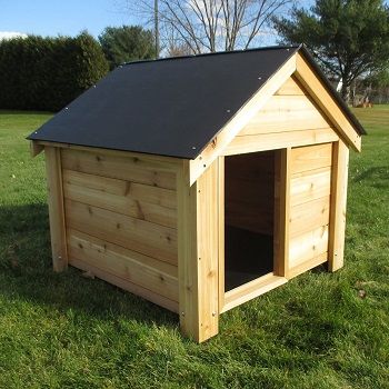 Infinite Cedar The Ultimate Dog House review