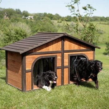 Merry Products Solid Wood Dog House