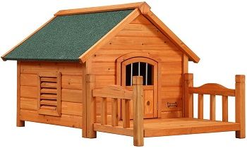 Pet Squeak Dog House review