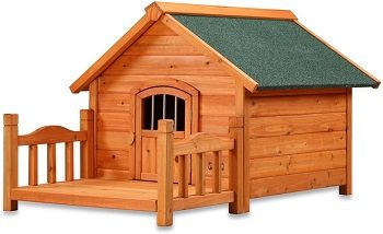 Pet Squeak Dog House