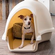 inexpensive dog houses
