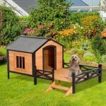 Top 5 Elevated & Raised Dog Houses You Can Get In 2020 Reviews