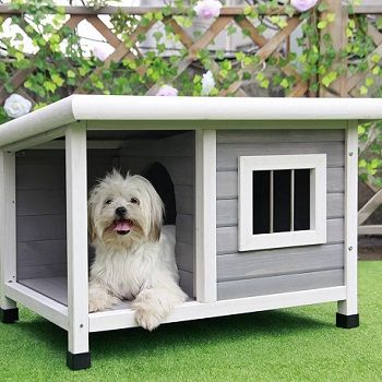 best dog house for hot weather