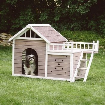 fancy-luxury-modern-dog-house